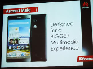 Ascend Mate