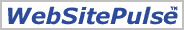 Web Site Pulse logo