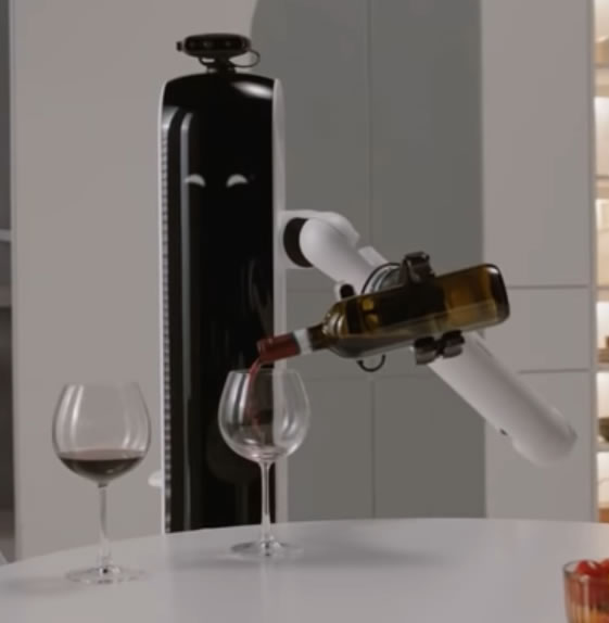 Samsung's House Robot