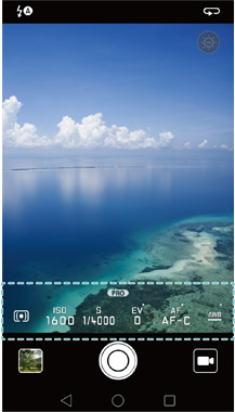 Y9 Pro camera settings