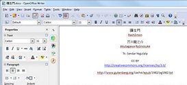 Open Office Writer screen