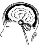 brainl
